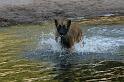 flaten_2008 jul 02_0310